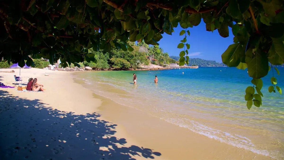 Praia calma vista da sombra de uma árvore, com água transparente